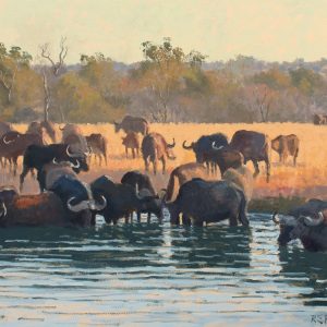 Buffalo at the Waterhole, Sunset
