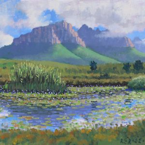 Helderberg Reserve