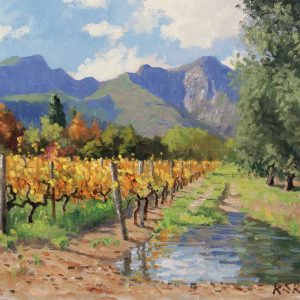 Autumn-Vineyard-After-the-Rain-Franschhoek