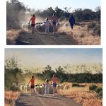 The Sheep Farm, Karoo commissioned painting by Roelof Rossouw