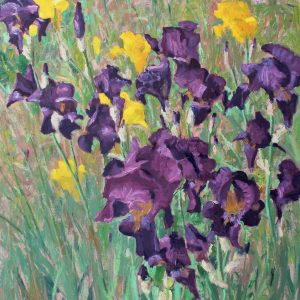 Irises, Paris Botanical Gardens