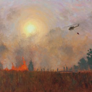 The Fire at Krom River, Cederberg Park
