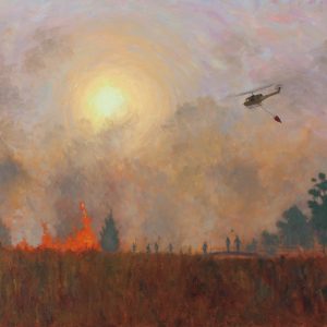 The Fire at Krom River, Cederberg Park