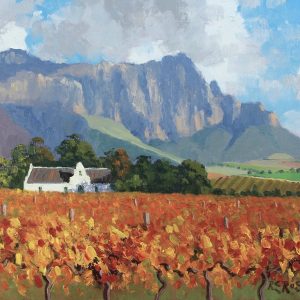 Autumn Vineyard near Franschhoek
