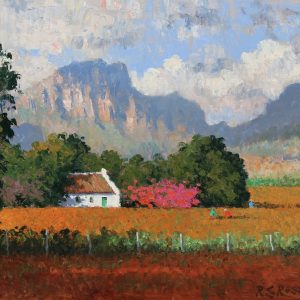 Cottage and Bougainvillea