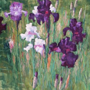 Jardin Des Iris, Paris